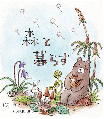 内藤 あけみ