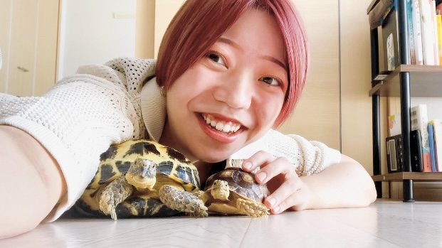 ざわとみ
