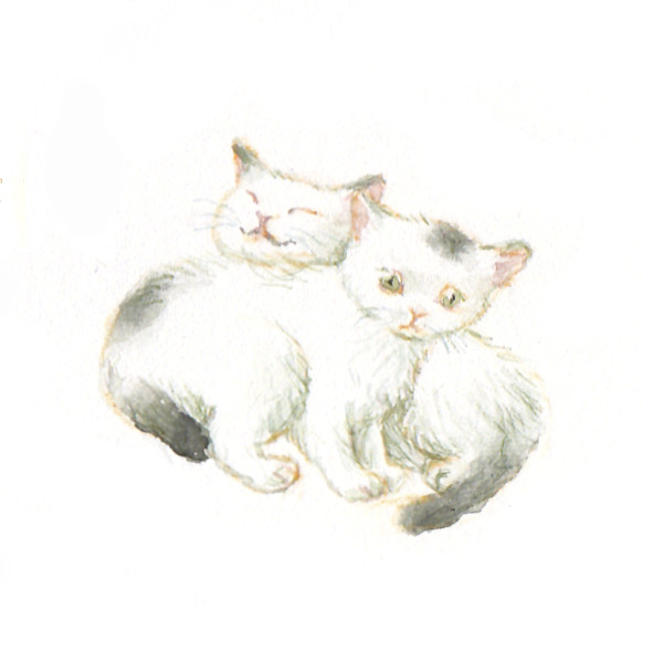 しのづかゆみこ