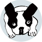 タニモト ハル